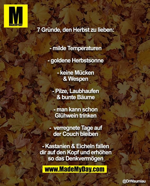 7 Gründe, den Herbst zu lieben:<br />
- milde Temperaturen<br />
- goldene Herbstsonne<br />
- keine Mücken & Wespen<br />
- Pilze, Laubhaufen & bunte Bäume<br />
- man kann schon Glühwein trinken<br />
-  verregnete Tage auf der Couch bleiben<br />
- Kastanien & Eicheln fallen dir auf den Kopf und<br />
erhöhen so das Denkvermögen