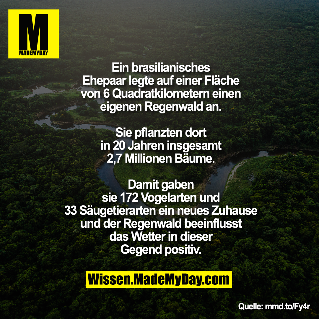 Ein brasilianisches Ehepaar legte auf Made My Day