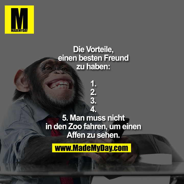 Die Vorteile, einen besten Freund zu haben:<br />
1.<br />
2.<br />
3.<br />
4.<br />
5. Man muss nicht in den Zoo fahren, um einen Affen zu sehen.