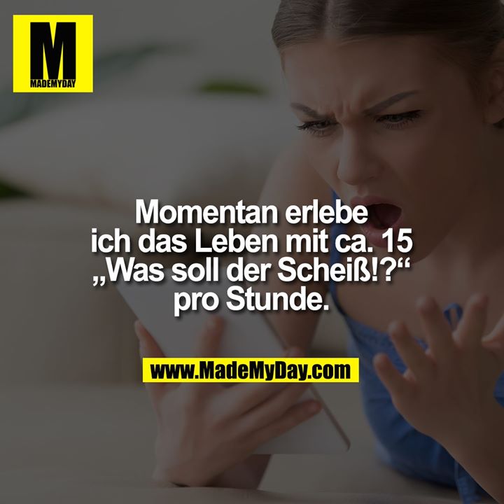 Momentan erlebe ich das Leben mit ca. 15 „Was soll der Scheiß!?“ pro Stunde.