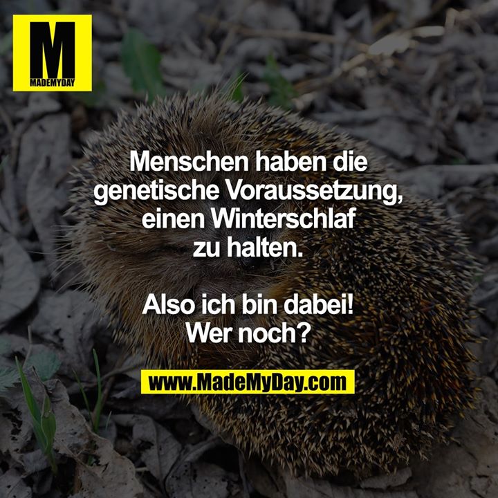 Menschen haben die genetische Voraussetzung, einen Winterschlaf zu halten. Also ich bin dabei! Wer noch?