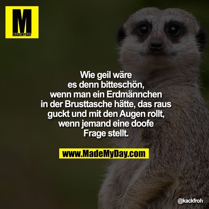 Wie geil wäre es denn bitteschön, wenn man ein Erdmännchen in der Brusttasche hätte, das raus guckt und mit den Augen rollt, wenn jemand eine doofe Frage stellt.