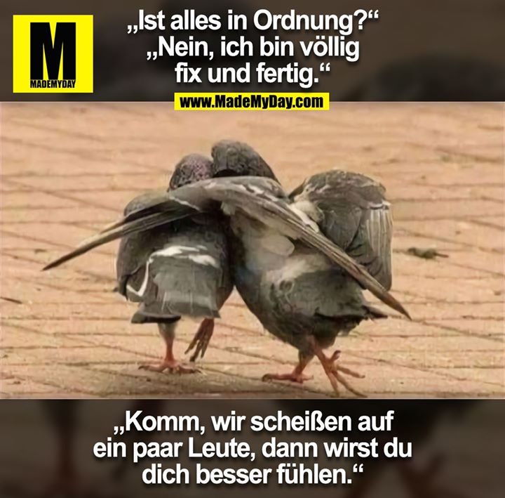 „Ist alles in Ordnung?“<br />
„Nein, ich bin völlig<br />
fix und fertig.“<br />
„Komm, wir scheißen auf ein<br />
paar Leute, dann wirst du<br />
dich besser fühlen.“
