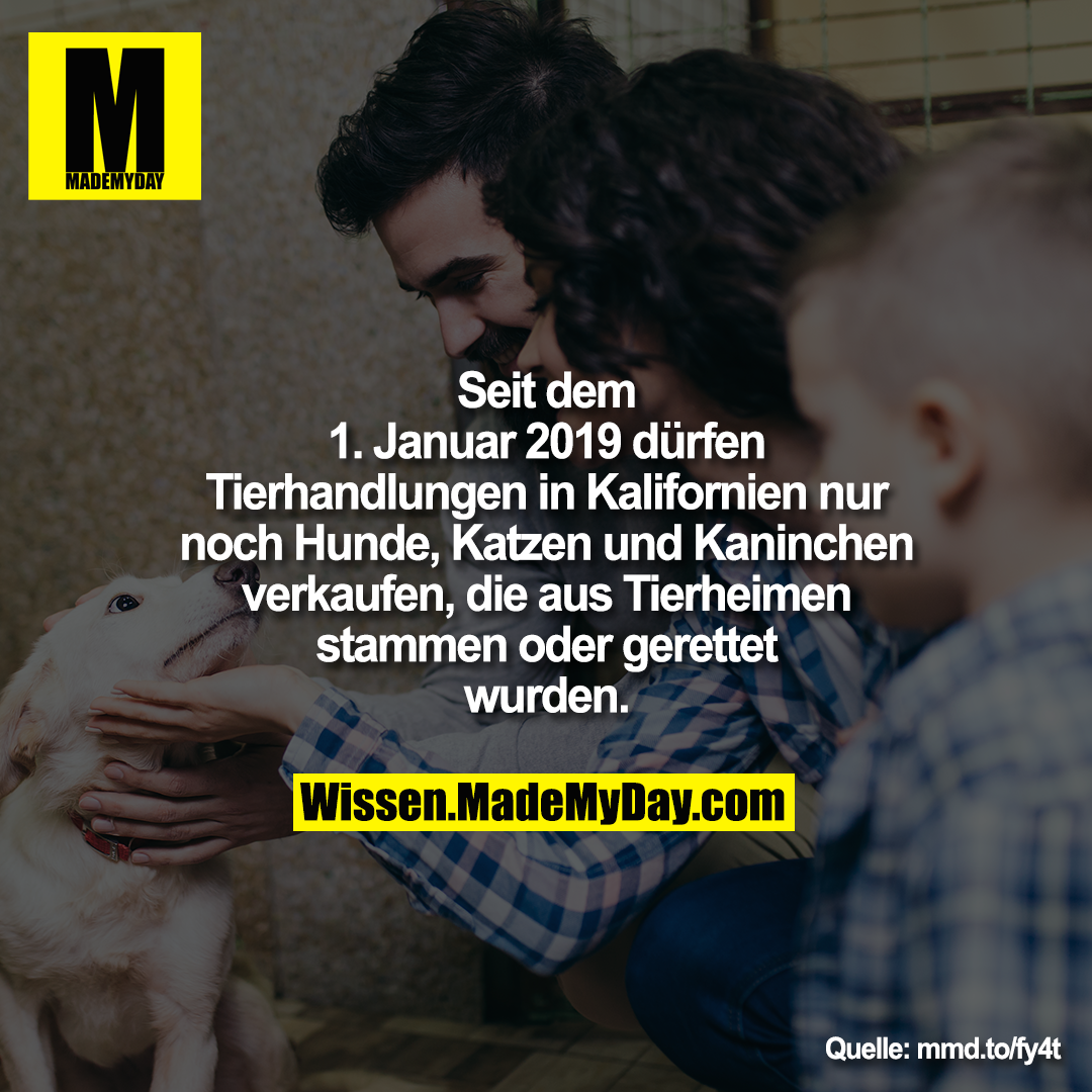 Seit dem 1. Januar 2019 dürfen<br />
Tierhandlungen in Kalifornien<br />
nur noch Hunde, Katzen und<br />
Kaninchen verkaufen, die aus<br />
Tierheimen stammen oder<br />
gerettet wurden.
