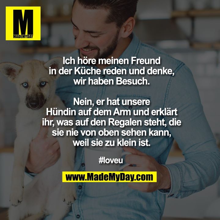 Ich höre meinen Freund in der Küche reden und denke, wir haben Besuch.<br />
<br />
Nein, er hat unsere Hündin auf dem Arm und erklärt ihr, was auf den Regalen steht, die sie nie von oben sehen kann, weil sie zu klein ist.<br />
<br />
#loveu