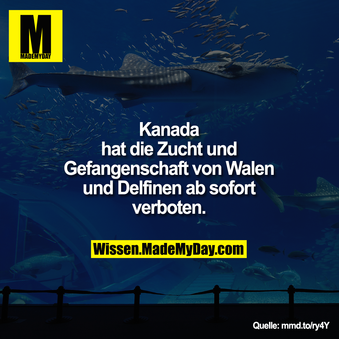 Kanada hat die Zucht und<br />
Gefangenschaft von Walen und<br />
Delfinen ab sofort verboten.