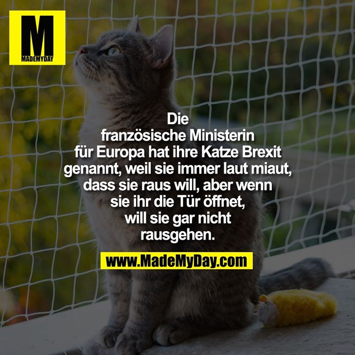 Die französische Ministerin für Europa<br />
hat ihre Katze Brexit genannt, weil sie<br />
immer laut miaut, dass sie raus will,<br />
aber wenn sie ihr die Tür öffnet, will<br />
sie gar nicht rausgehen.
