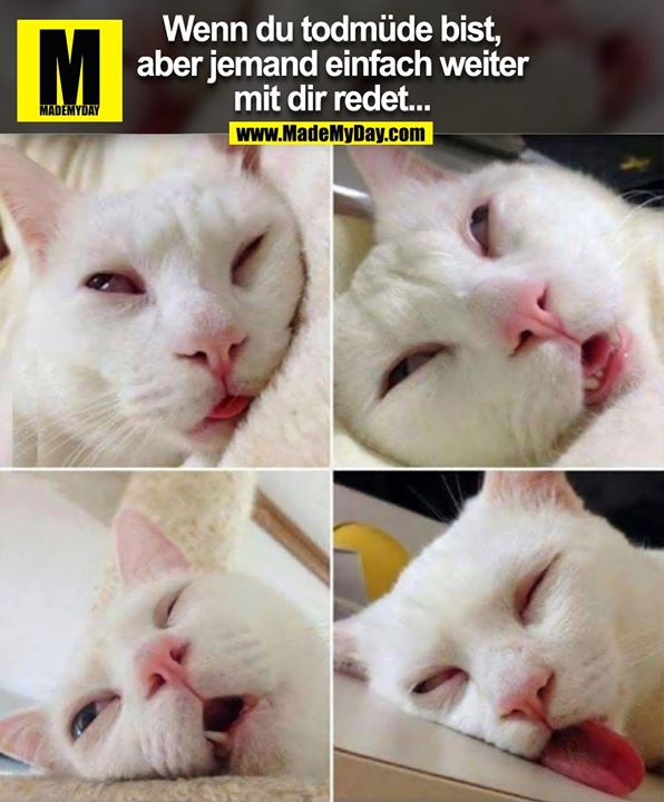 Wenn du todmüde bist, aber jemand einfach weiter mit dir redet...