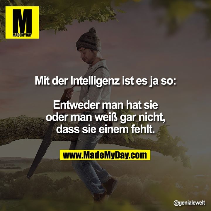 Mit der Intelligenz ist es ja so:<br />
<br />
Entweder man hat sie oder man weiß gar nicht, dass sie einem fehlt.