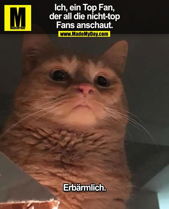 Ich, ein Top Fan,<br />
der all die nicht-top<br />
Fans anschaut.<br />
<br />
Erbärmlich.