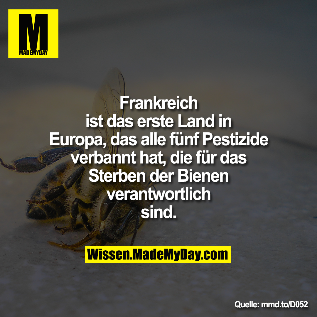 Frankreich ist das erste Land in<br />
Europa, das alle fünf Pestizide<br />
verbannt hat, die für das Sterben<br />
der Bienen verantwortlich sind.