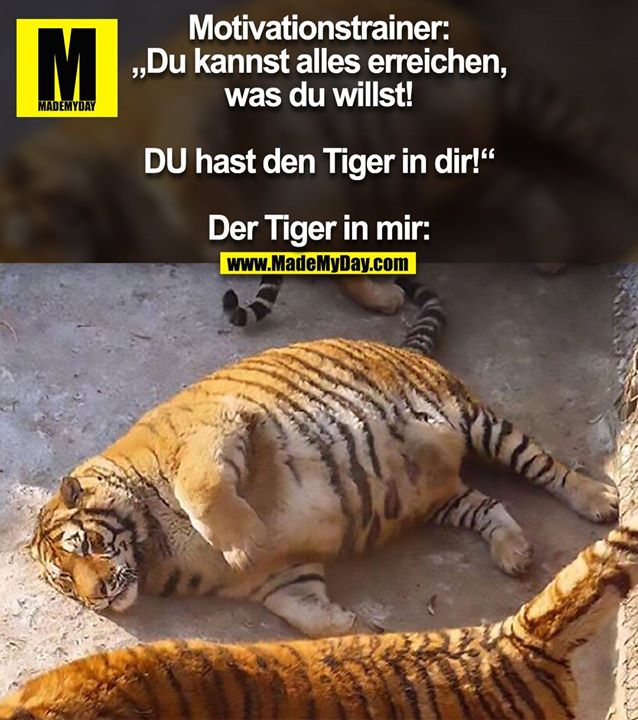Motivationstrainer: „Du kannst alles erreichen, was du willst! DU hast den Tiger in dir!“<br />
<br />
Der Tiger in mir:
