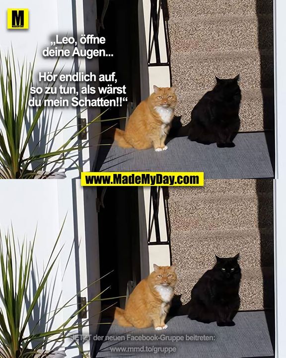 „Leo, öffne<br />
deine Augen...<br />
<br />
Hör endlich auf,<br />
so zu tun, als wärst<br />
du mein Schatten!!“