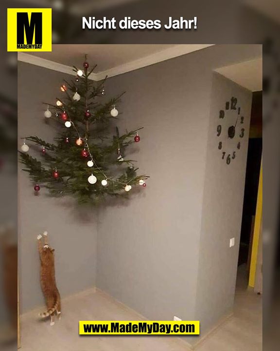 Nicht dieses Jahr...