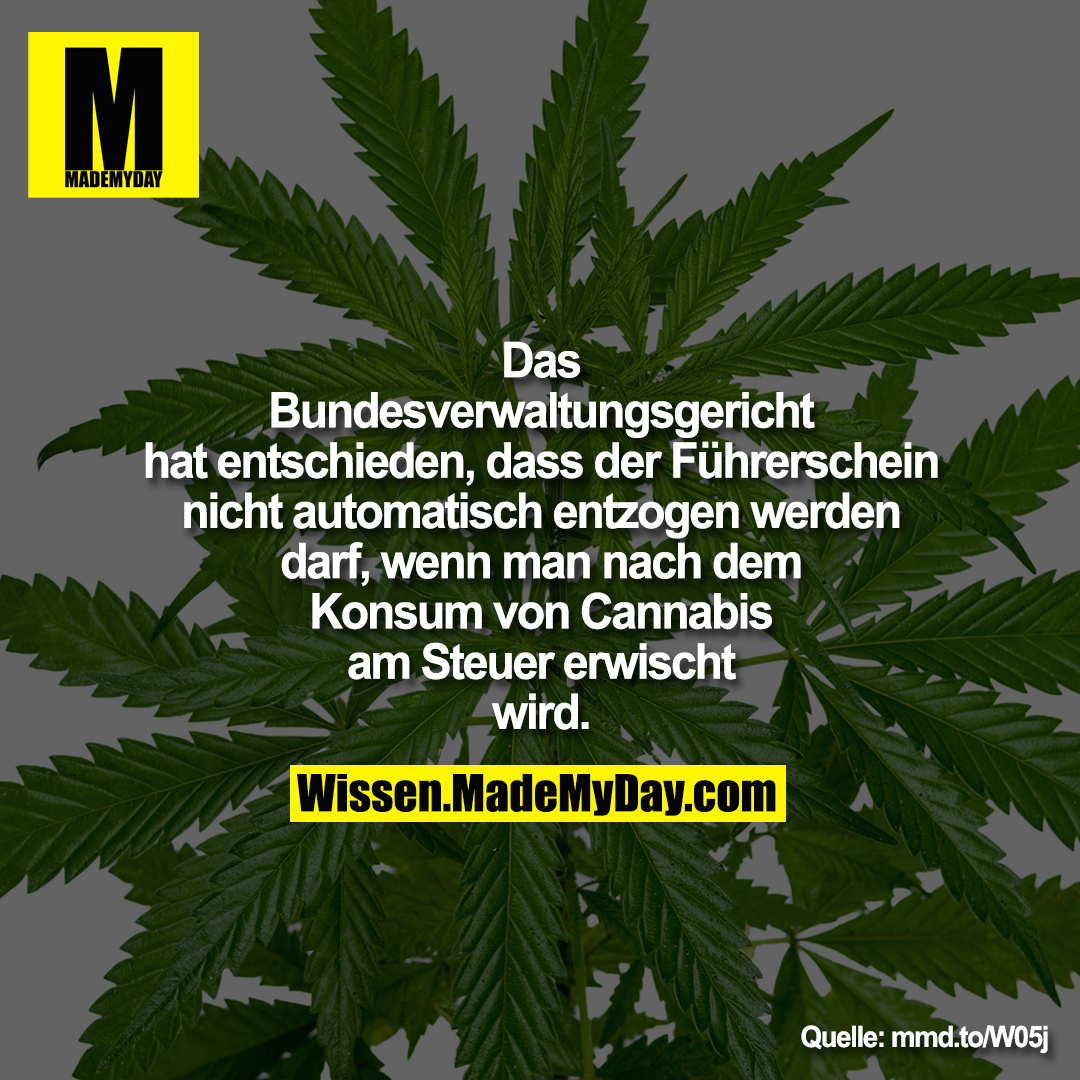 Das Bundesverwaltungsgericht hat entschieden, dass der Führerschein nicht automatisch entzogen werden darf, wenn man nach dem Konsum von Cannabis am Steuer erwischt wird.<br />
<br />
mmd.to/W05j