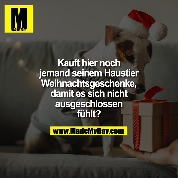 Kauft hier noch<br />
jemand seinem Haustier<br />
Weihnachtsgeschenke,<br />
damit es sich nicht<br />
ausgeschlossen<br />
fühlt?