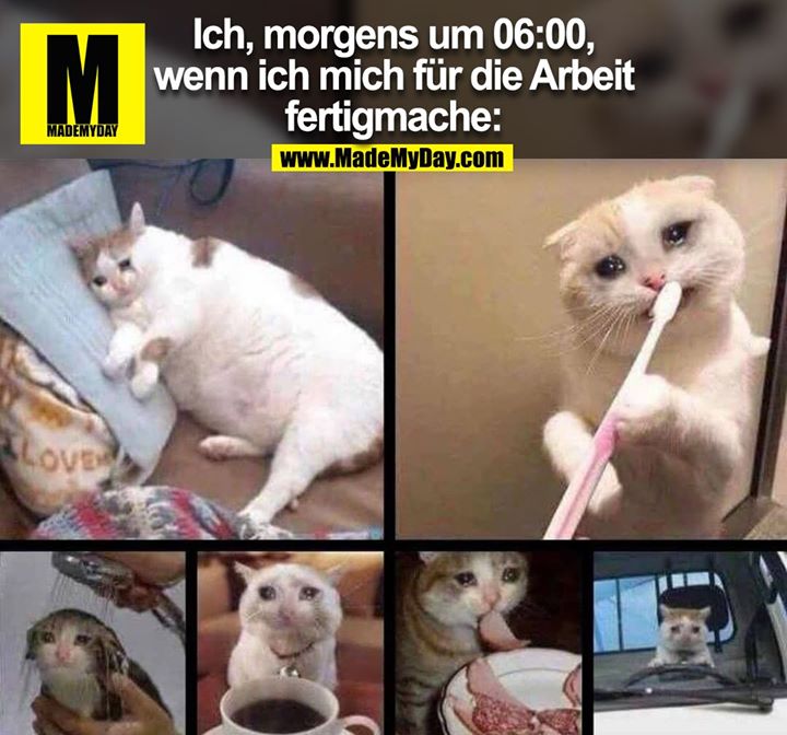 Ich, morgens um 06:00,<br />
wenn ich mich für die Arbeit<br />
fertigmache: