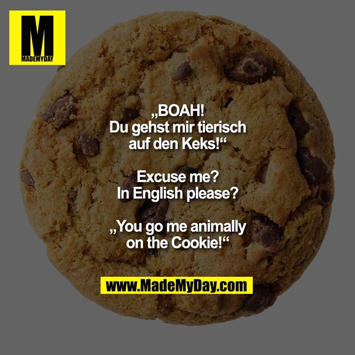 „BOAH! Du gehst mir tierisch auf den Keks!“<br />
Excuse me? In English please?<br />
„You go me animally on the Cookie!“