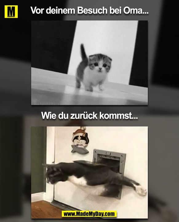 Vor deinem Besuch bei Oma...<br />
Wie du zurückkommst...