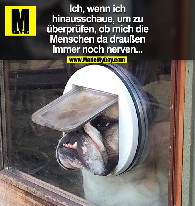 Ich, wenn ich hinausschaue, um zu überprüfen, ob mich die Menschen da draußen immer noch nerven...
