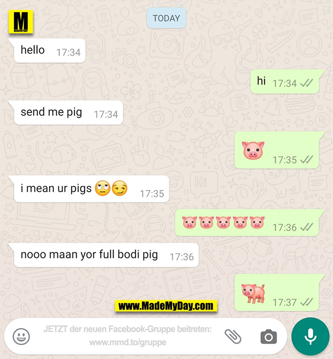 hello<br />
hi<br />
send me pig<br />
🐷<br />
i mean uz pigs 🙄😏<br />
🐷🐷🐷🐷🐷<br />
nooo maan yor full bodi pig<br />
🐖