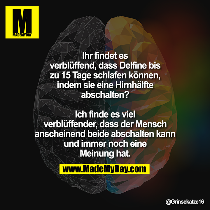 Ihr findet es verblüffend, dass Delfine bis zu 15 Tage schlafen können, indem sie eine Hirnhälfte abschalten?<br />
<br />
Ich finde es viel verblüffender, dass der Mensch anscheinend beide abschalten kann und immer noch eine Meinung hat.