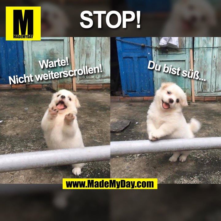STOP!<br />
Warte!<br />
Nicht weiterscrollen!<br />
Du bist süß...