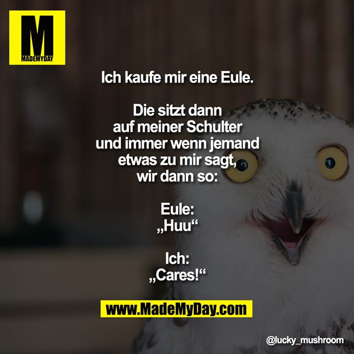 Ich kaufe mir eine Eule.<br />
<br />
Die sitzt dann<br />
auf meiner Schulter<br />
und immer wenn jemand<br />
etwas zu mir sagt,<br />
wir dann so:<br />
<br />
Eule:<br />
„Huu“<br />
<br />
Ich:<br />
„Cares!“