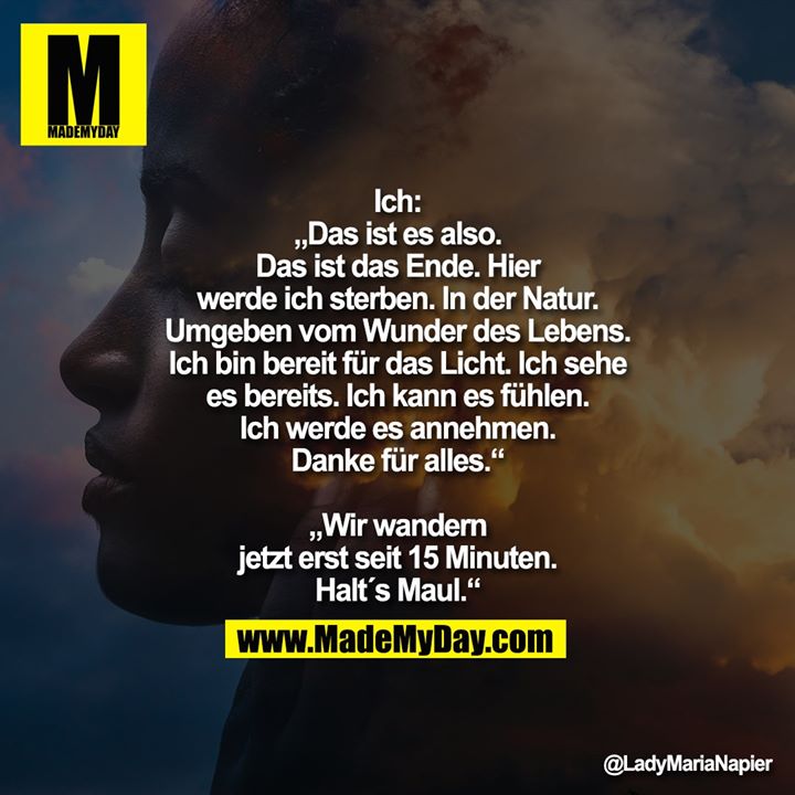 Ich:<br />
„Das ist es also.<br />
Das ist das Ende. Hier<br />
werde ich sterben. In der Natur.<br />
Umgeben vom Wunder des Lebens.<br />
Ich bin bereit für das Licht. Ich sehe<br />
es bereits. Ich kann es fühlen.<br />
Ich werde es annehmen.<br />
Danke für alles.“<br />
<br />
„Wir wandern<br />
jetzt erst seit 15 Minuten.<br />
Halt´s Maul.“