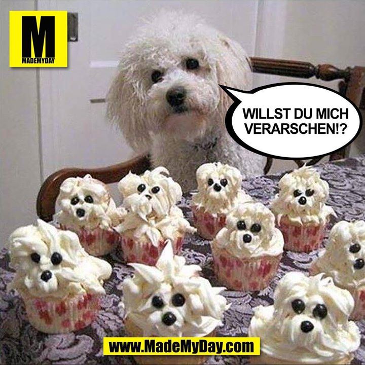 Willst du mich verarschen!?