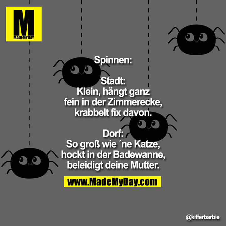Spinnen:<br />
Stadt: Klein, hängt ganz fein in der Zimmerecke, krabbelt fix davon<br />
Dorf: So groß wie ´ne Katze, hockt in der Badewanne, beleidigt deine Mutter