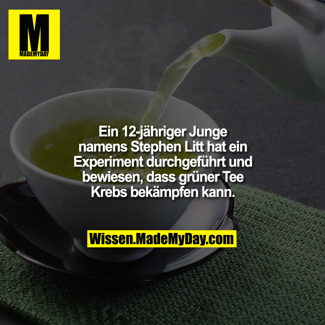 Ein 12-jähriger Junge namens Stephen Litt hat ein Experiment durchgeführt und bewiesen, dass grüner Tee Krebs bekämpfen kann.