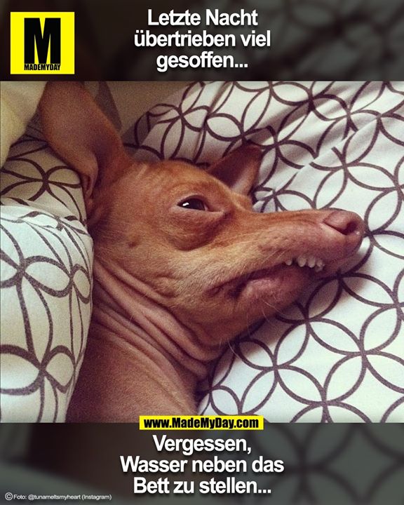 Letzte Nacht<br />
übertrieben viel<br />
gesoffen...<br />
<br />
Vergessen,<br />
Wasser neben das<br />
Bett zu stellen...