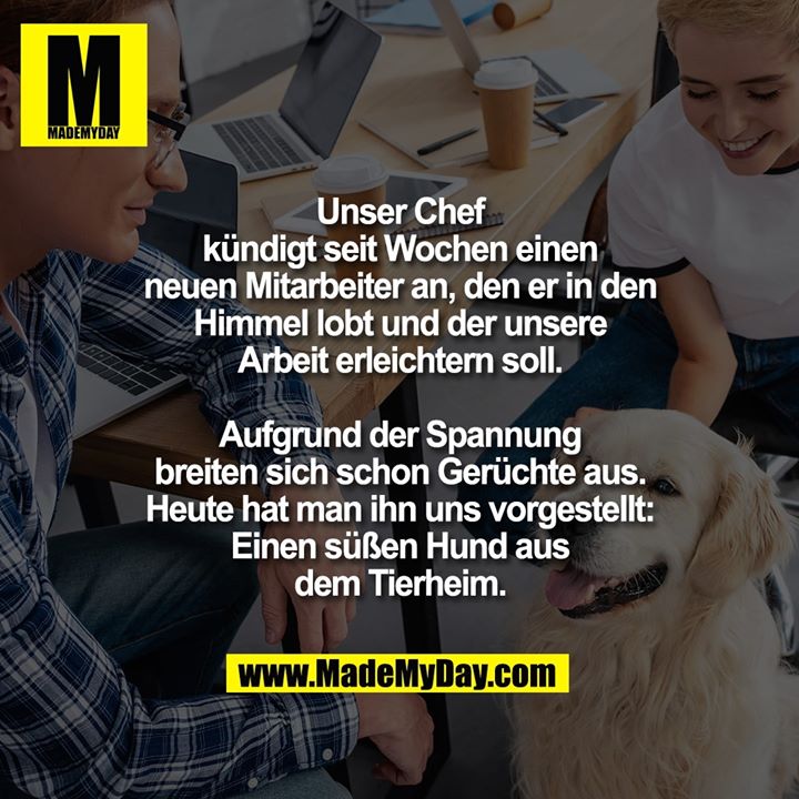 Unser Chef kündigt seit Wochen einen neuen Mitarbeiter an, den er in den Himmel lobt und der unsere Arbeit erleichtern soll.<br />
Aufgrund der Spannung breiten sich schon Gerüchte aus.<br />
Heute hat man ihn uns vorgestellt: Einen süßen Hund aus dem Tierheim.