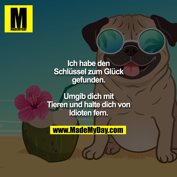 Ich habe den Schlüssel zum Glück gefunden.<br />
Umgib dich mit Tieren und halte dich von Idioten fern.