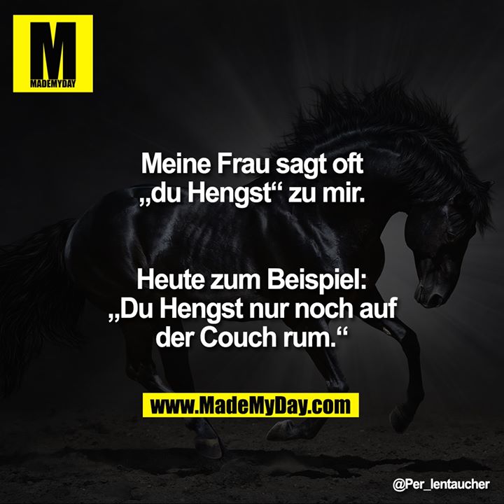 Meine Frau sagt oft „du Hengst“ zu mir.<br />
<br />
Heute zum Beispiel:<br />
„Du Hengst nur noch auf der Couch rum.“