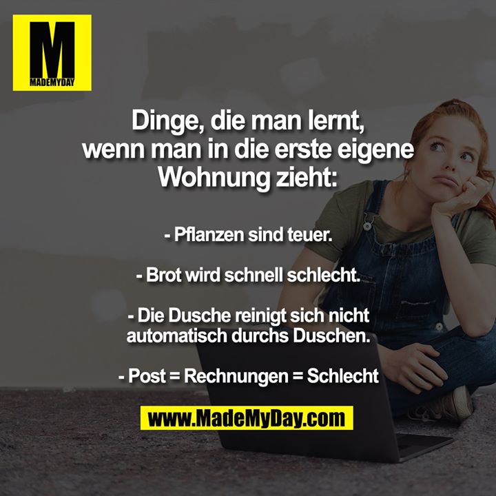 Dinge, die man lernt, wenn man in die erste eigene Wohnung zieht:<br />
<br />
- Pflanzen sind teuer.<br />
- Brot wird schnell schlecht.<br />
- Die Dusche reinigt sich nicht automatisch durchs Duschen.<br />
- Post = Rechnungen = Schlecht