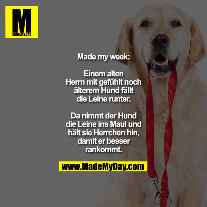 Made my week:<br />
Einem alten Herrn mit<br />
gefühlt noch älterem Hund<br />
fällt die Leine runter. Da<br />
nimmt der Hund die Leine<br />
ins Maul und hält sie<br />
Herrchen hin, damit er<br />
besser rankommt.