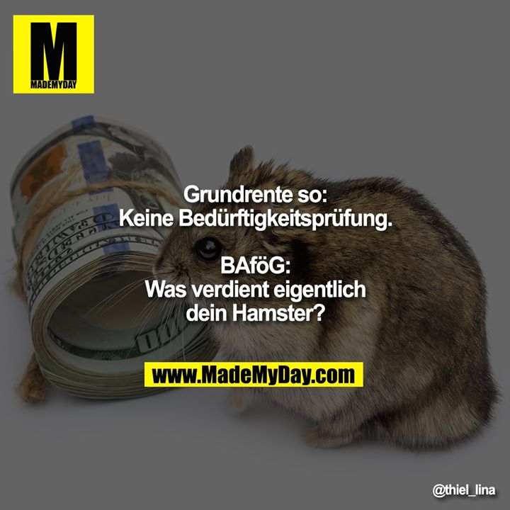 Grundrente so:<br />
Keine Bedürftigkeitsprüfung.<br />
<br />
BAföG:<br />
Was verdient eigentlich dein Hamster?