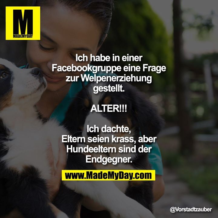 Ich habe in einer Facebookgruppe eine Frage zur Welpenerziehung gestellt.<br />
<br />
ALTER!!!<br />
<br />
Ich dachte, Eltern seien krass, aber Hundeeltern sind der Endgegner.