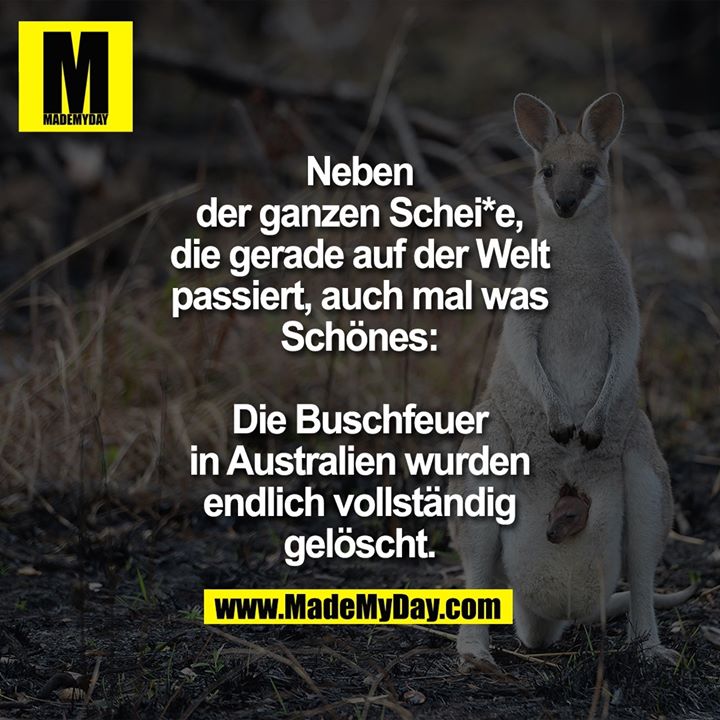 Neben der ganzen Schei*e, die gerade auf der Welt passiert, auch mal was Schönes:<br />
Die Buschfeuer in Australien wurden endlich vollständig gelöscht.