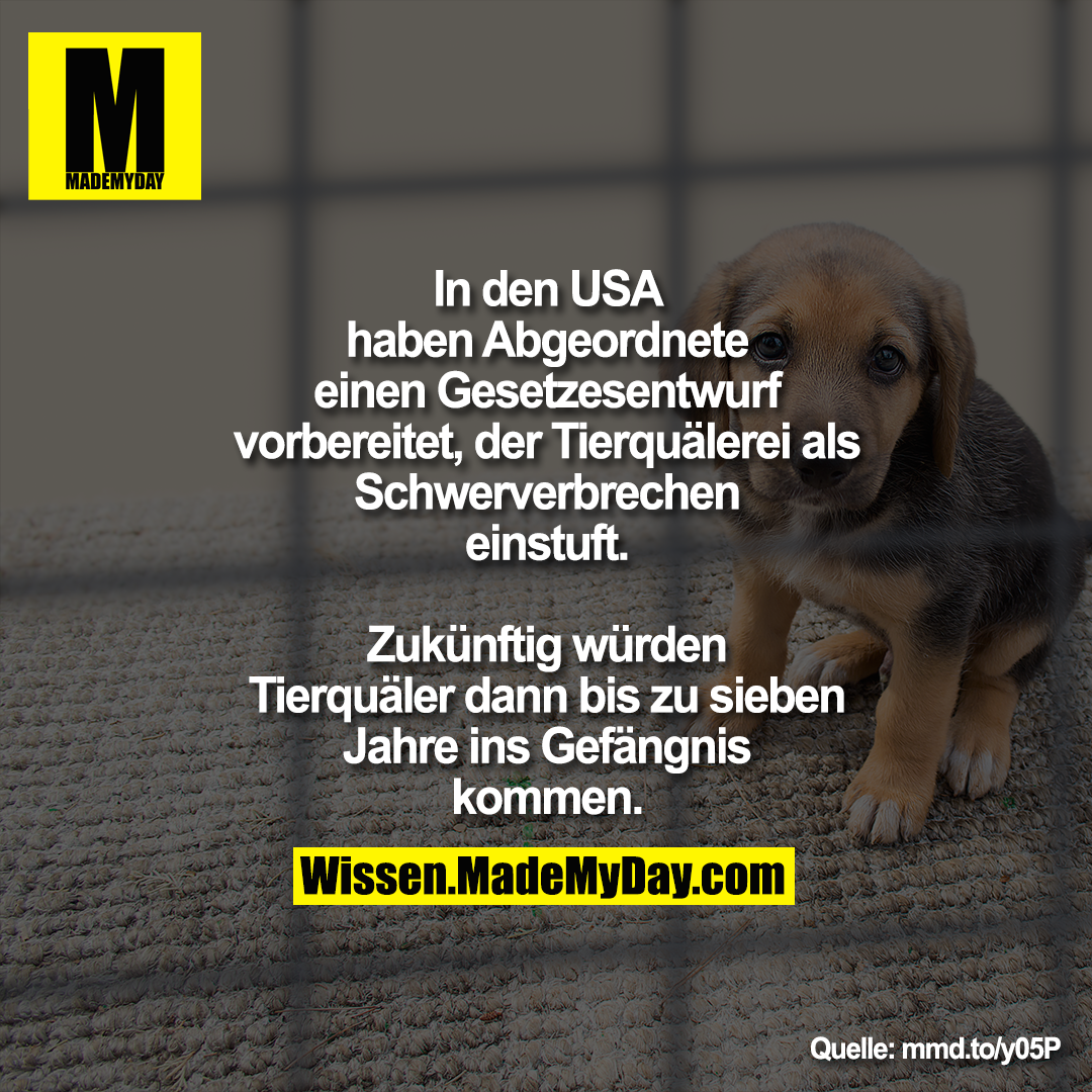 In den USA haben Abgeordnete einen<br />
Gesetzesentwurf vorbereitet, der<br />
Tierquälerei als Schwerverbrechen<br />
einstuft. Zukünftig würden Tierquäler<br />
dann bis zu sieben Jahre ins Gefängnis<br />
kommen.<br />
mmd.to/y05P
