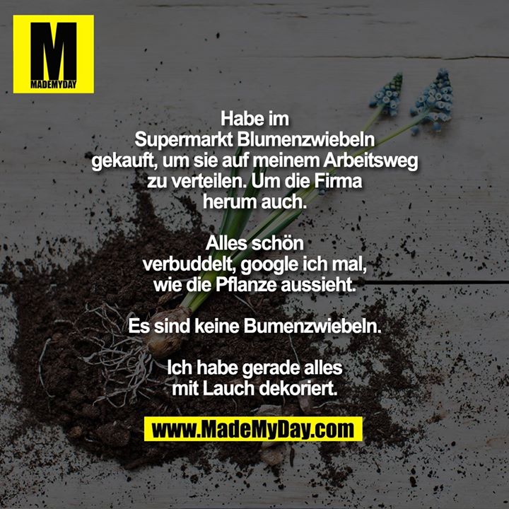 Habe im Supermarkt Blumenzwiebeln gekauft, um sie auf meinem Arbeitsweg zu verteilen.<br />
Um die Firma herum auch.<br />
Alles schön verbuddelt, google ich mal, wie die Pflanze aussieht.<br />
Es sind keine Blumenzwiebeln.<br />
Ich habe gerade alles mit Lauch dekoriert.