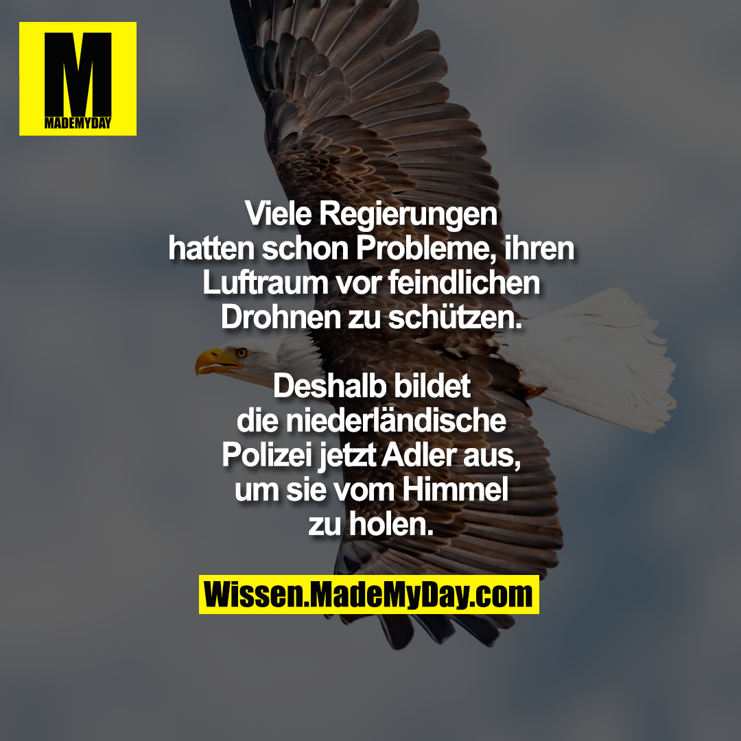 Viele Regierungen hatten schon Probleme, ihren Luftraum vor feindlichen Drohnen zu schützen.<br />
Deshalb bildet die niederländische Polizei jetzt Adler aus, um sie vom Himmel zu holen.