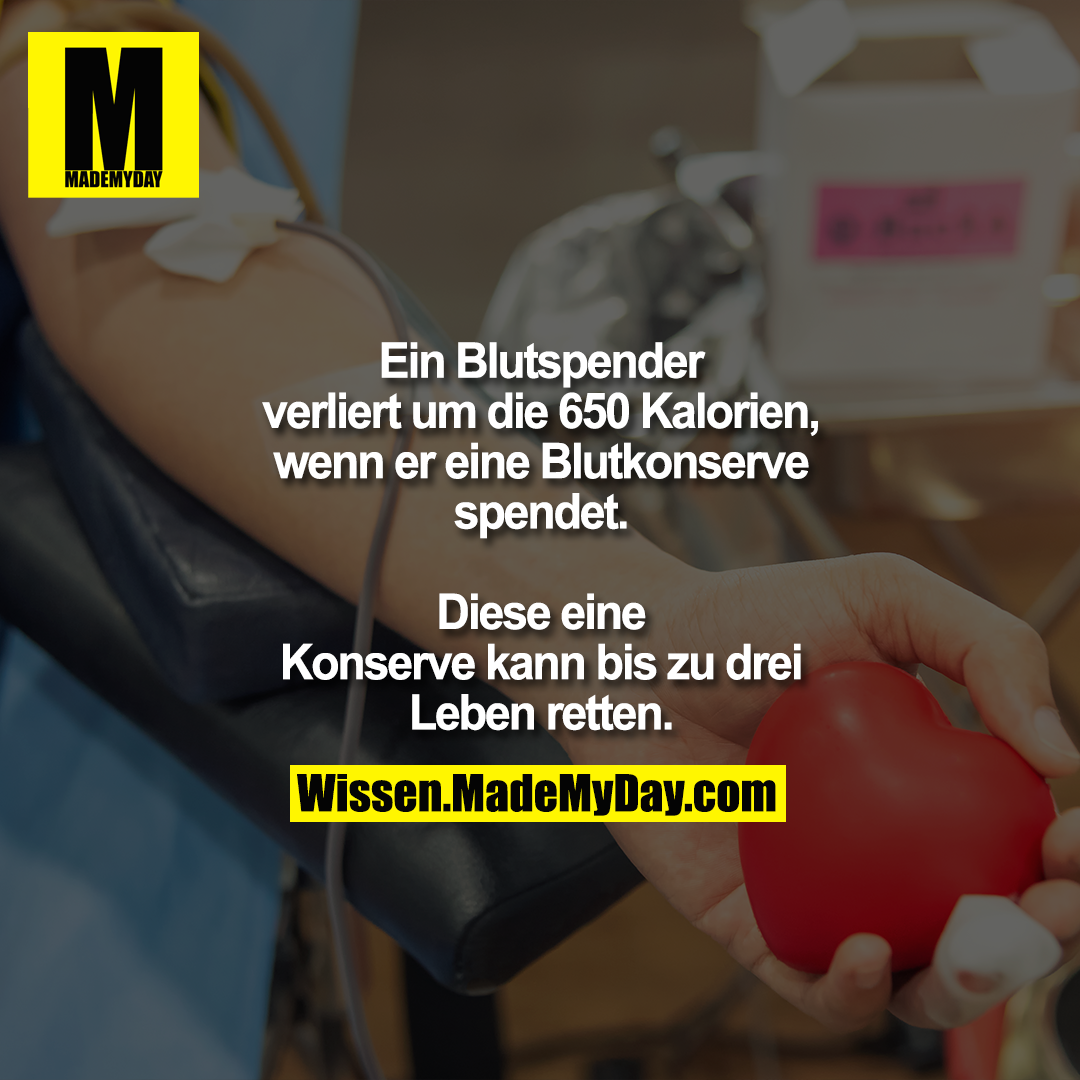Ein Blutspender verliert um<br />
die 650 Kalorien, wenn er<br />
eine Blutkonserve spendet.<br />
Diese eine Konserve kann bis<br />
zu drei Leben retten.