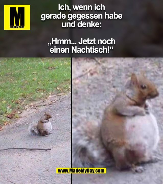 Ich, wenn ich gerade gegessen habe und denke:<br />
„Hmm... Jetzt noch einen Nachtisch!“