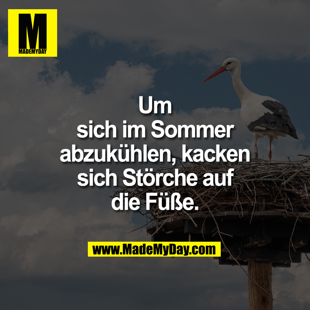 Um sich im Sommer abzukühlen, kacken sich Störche auf die Füße.