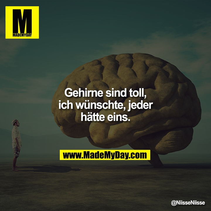 Gehirne sind toll, ich wünschte, jeder hätte eins.