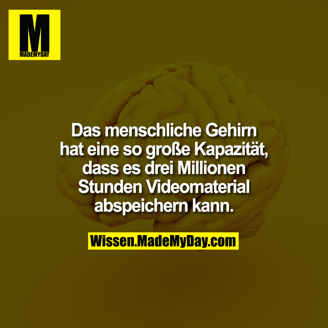 Das menschliche Gehirn hat eine so große Kapazität, dass es drei Millionen Stunden Videomaterial abspeichern kann.