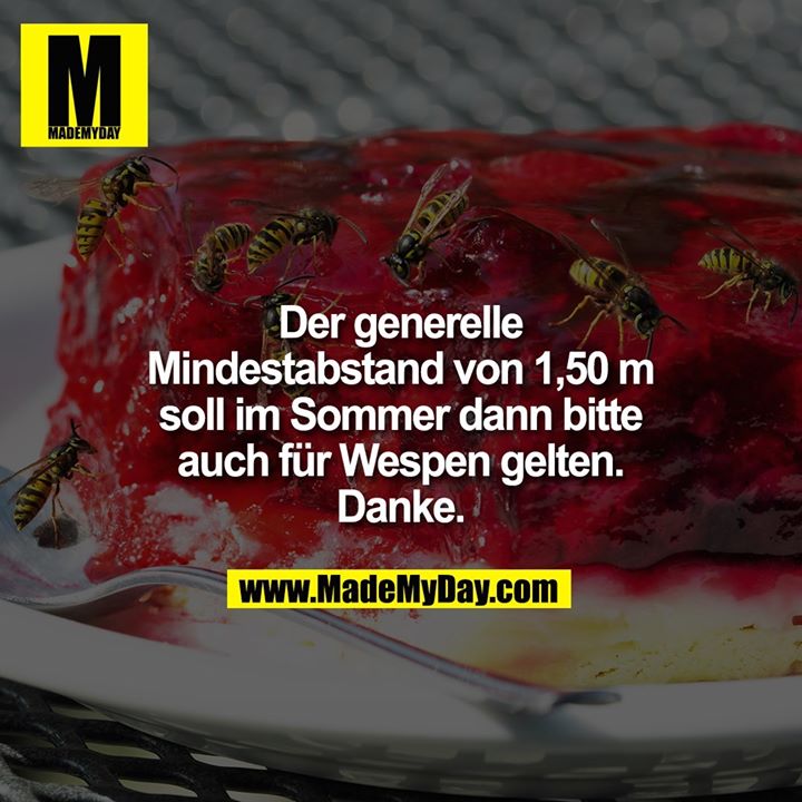 Der generelle Mindestabstand von 1,50m soll im Sommer dann bitte auch für Wespen gelten. Danke.